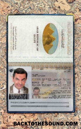 Scarica Egitto Passaporto Foto look Campione campione