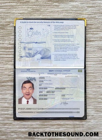 Scarica Estonia Passaporto Foto look Campione campione