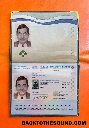 Scarica Finlandia Passaporto Foto look Campione mockup