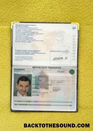 Scarica Francia Passaporto Foto look Campione campione