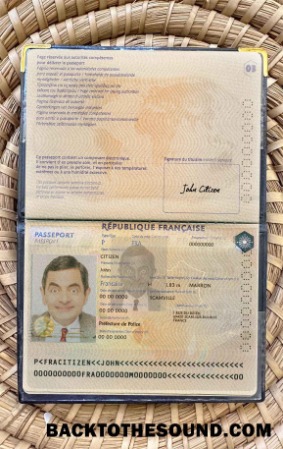 Scarica Francia Passaporto Versione 2 Foto look Campione campione