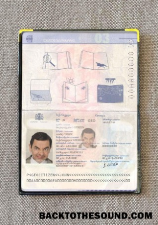 Scarica Georgia Passaporto Foto look Campione design
