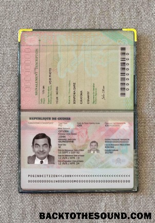 Scarica Guinea Passaporto (2018 Presente) Foto look Campione campione