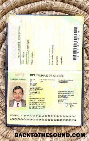 Scarica Guinea Passaporto Foto look Campione modello