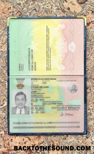 Scarica Guinea Bissau Passaporto Foto look Campione design
