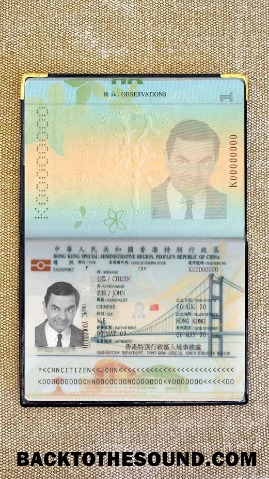 Scarica Hong Kong pass Foto look Campione design