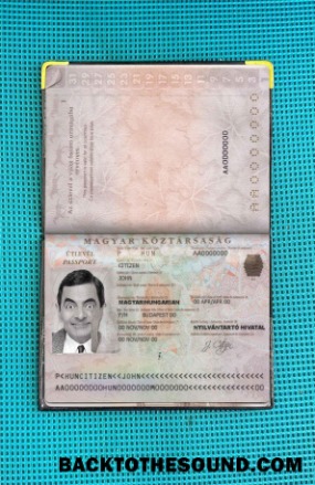 Scarica Ungheria Passaporto Foto look Campione campione