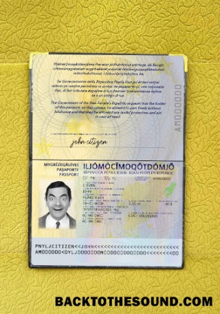 Scarica Ilia Passaporto Foto look Campione mockup