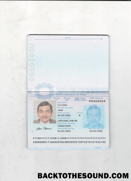 Scarica India Passaporto 2022 Presente 2 pages Pagina 1 Campione modello