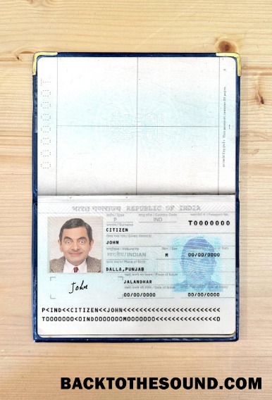 Scarica India Passaporto Nuovo Versione 2 pages foto-look 1 Campione design
