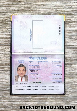 Scarica Indonesia Passaporto Versione 2 Foto lokk Campione campione