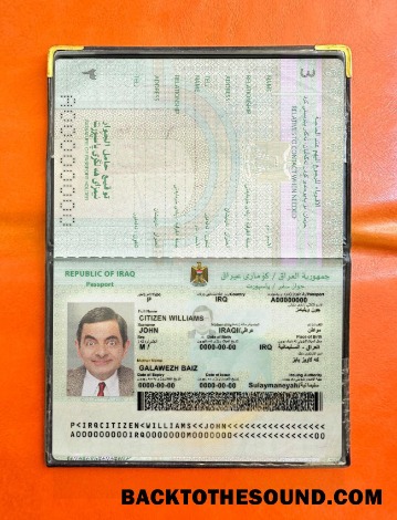 Scarica Iraq Passaporto 2021 Presente foto-look Campione campione