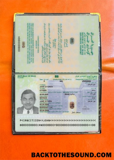 Scarica Iraq Passaporto 2023 Presente foto-look Campione anteprima