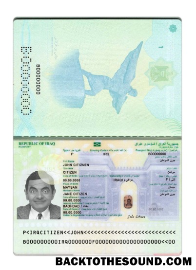 Scarica Iraq Passaporto 2024 Presente Campione design
