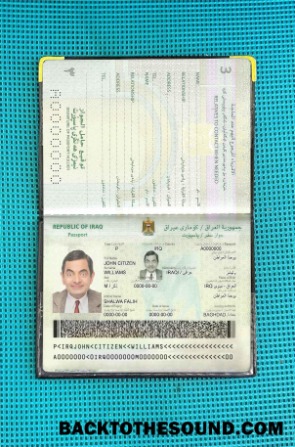 Scarica Iraq Passaporto Foto look Campione campione