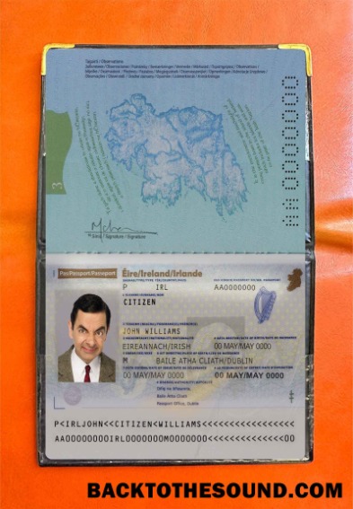 Scarica Irlanda Passaporto Foto look Campione campione