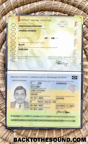 Scarica Kenya Passaporto (2017 Presente) Foto look Campione anteprima