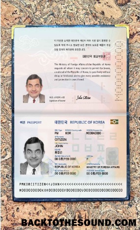 Scarica Korea Passaporto (2021 Presente) Foto look Campione mockup