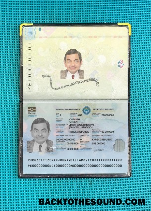 Scarica Kirghizistan Passaporto 2021 Presente foto-look Campione modello