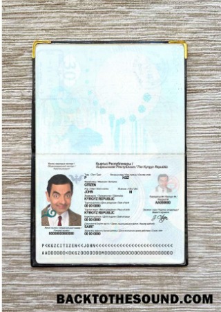 Scarica Kirghizistan Passaporto Foto look Campione design