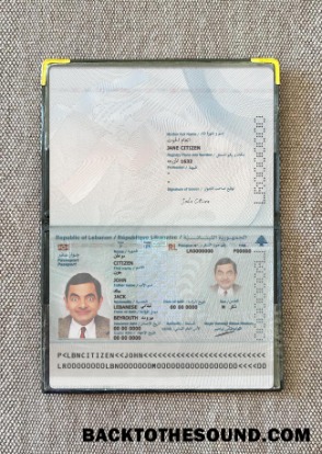 Scarica Libano Passaporto 2022 Presente foto-look Campione anteprima