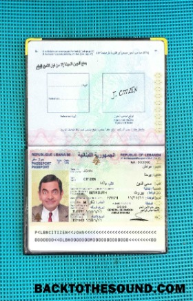 Scarica Libano Passaporto Foto look Campione anteprima