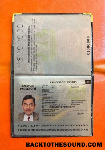 Scarica Lesotho Pass Foto look Campione mockup