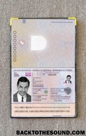 Scarica Lituania Passaporto Foto look Campione campione
