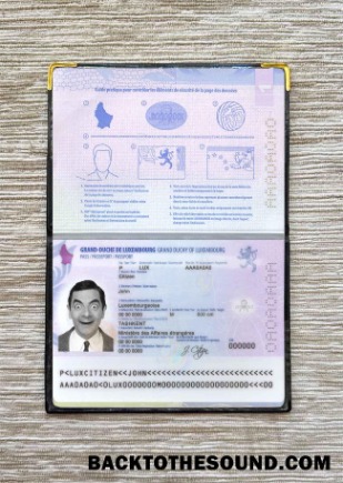 Scarica Lussemburgo Passaporto Foto look Campione design