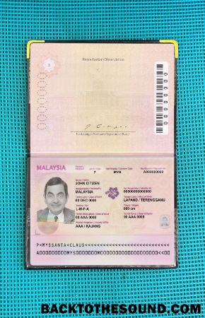 Scarica Malesia Passaporto (2010 2017) Foto look Campione design