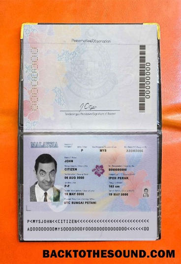 Scarica Malesia Passaporto (2017 Presente) Foto look Campione campione
