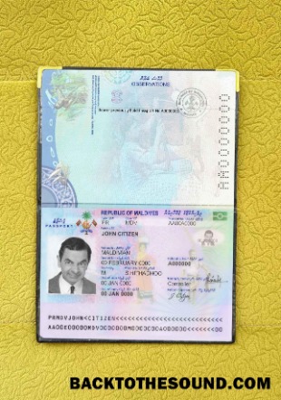 Scarica Maldive Passaporto Foto look Campione campione