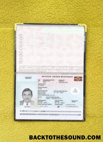 Scarica Messico Passaporto Nuovo 2022 Presente foto-look Campione anteprima