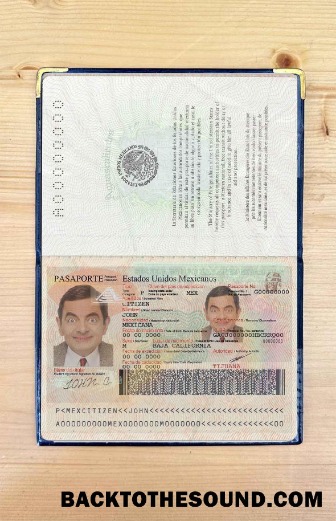 Scarica Messico Passaporto Foto look Campione anteprima