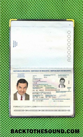 Scarica Moldavia Passaporto (2011 2014) Foto look Campione design