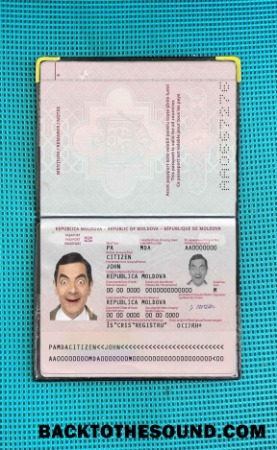 Scarica Moldavia Passaporto (2014 Presente) Foto look Campione mockup