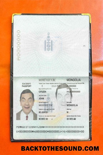 Scarica Mongolia Passaporto Foto look Campione mockup