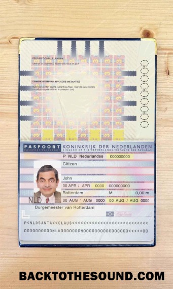 Scarica Paesi Bassi (Holland) Passaporto (2006 2016) Foto look Campione modello
