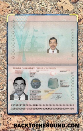 Scarica Nuovo Turchia Passaporto Foto look Campione modello