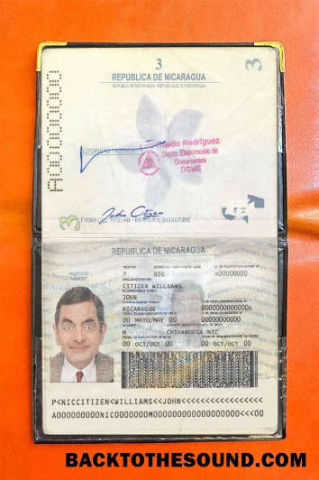 Scarica Nicaragua pass Foto look Campione anteprima