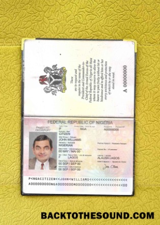 Scarica Nigeria Passaporto (2007 2019) Foto look Campione modello