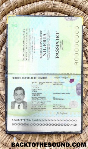 Scarica Nigeria Passaporto (2019 Presente) Foto look Campione campione