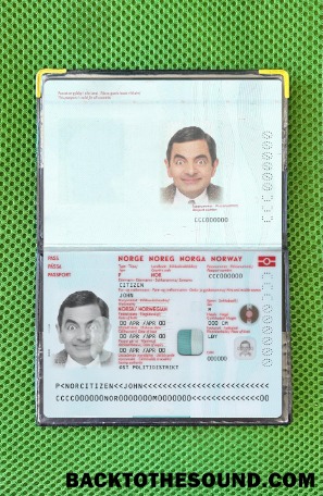 Scarica Norvegia Passaporto Nuovo 2021 Presente foto-look Campione design