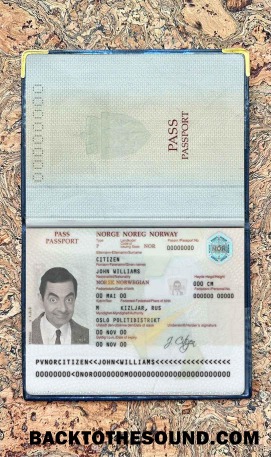 Scarica Norvegia Passaporto Foto look Campione design
