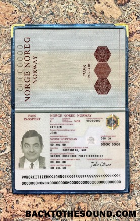 Scarica Norvegia Passaporto Versione 2 foto-look Campione mockup