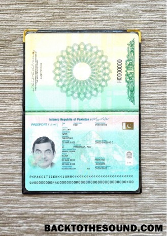 Scarica Pakistan Passaporto 2023 Presente foto-look Campione anteprima