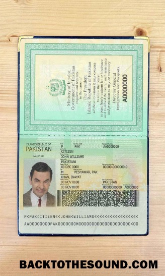 Scarica Pakistan Passaporto Foto look Campione design