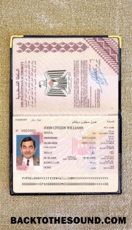 Scarica Palestina Passaporto Foto look Campione design