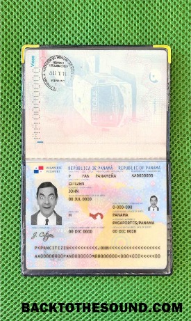 Scarica Panama Passaporto Foto look Campione modello