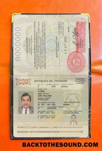Scarica Paraguay Passaporto Foto look Campione design